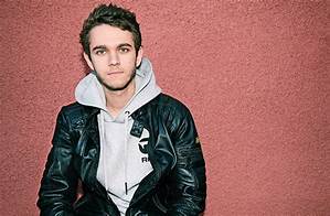 Artist Zedd